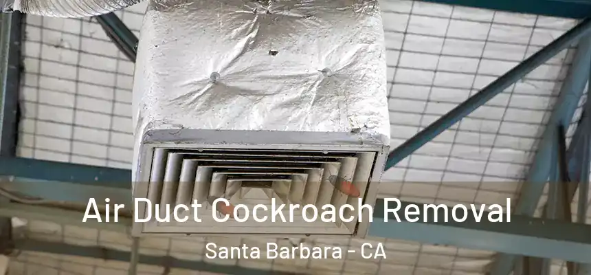 Air Duct Cockroach Removal Santa Barbara - CA