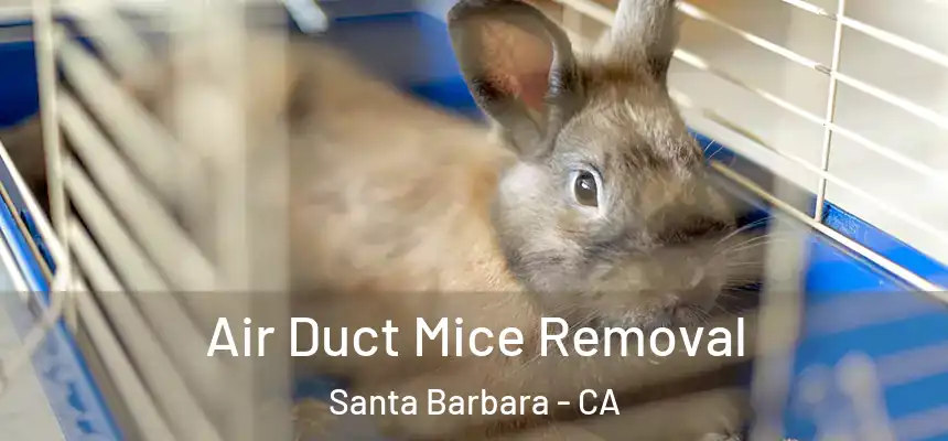 Air Duct Mice Removal Santa Barbara - CA