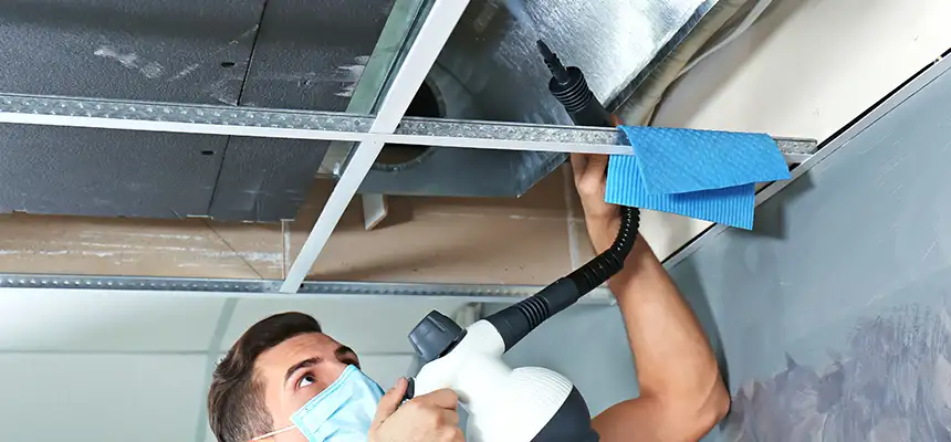 Our Air Duct Rodent Removal Services in Santa Barbara, CA