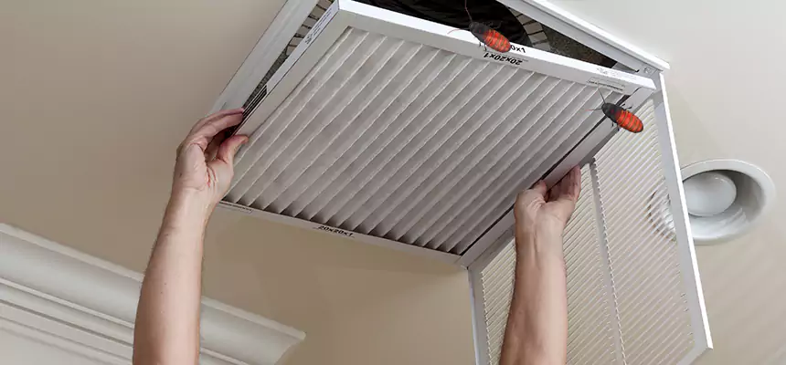 Our Insect Removal from Air Ducts Services in Santa Barbara, CA