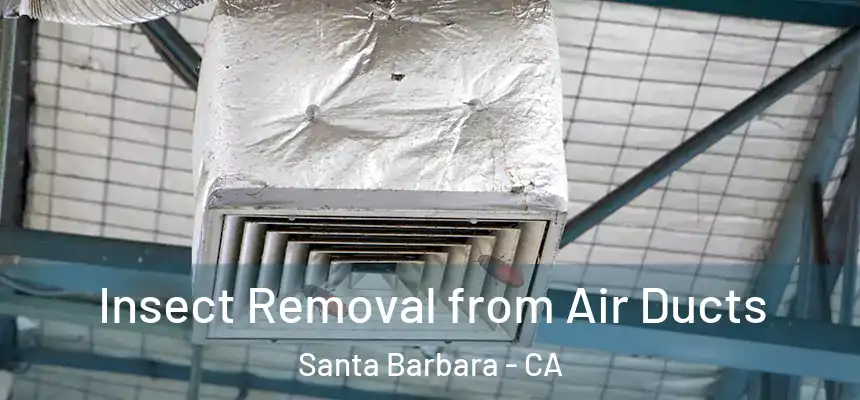 Insect Removal from Air Ducts Santa Barbara - CA