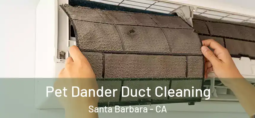 Pet Dander Duct Cleaning Santa Barbara - CA