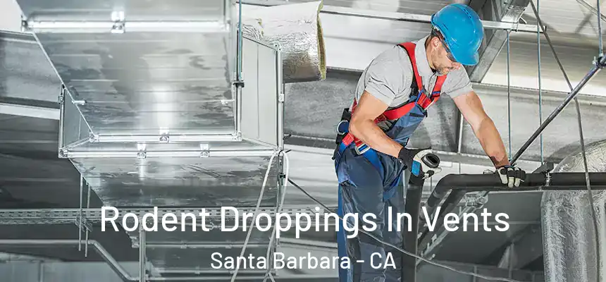 Rodent Droppings In Vents Santa Barbara - CA