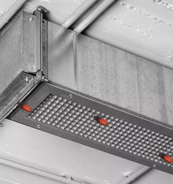 About Air Duct Cockroach Removal in Santa Barbara, CA