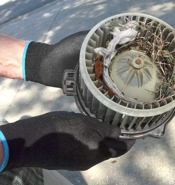 About Air Duct Mice Removal in Santa Barbara, CA