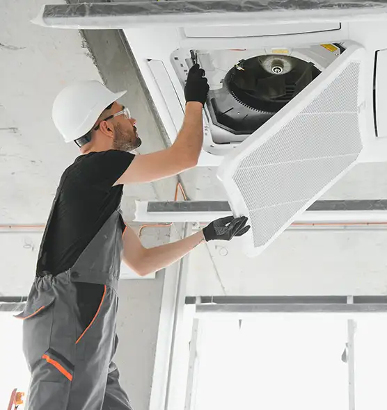 About Air Duct Rodent Removal in Santa Barbara, CA