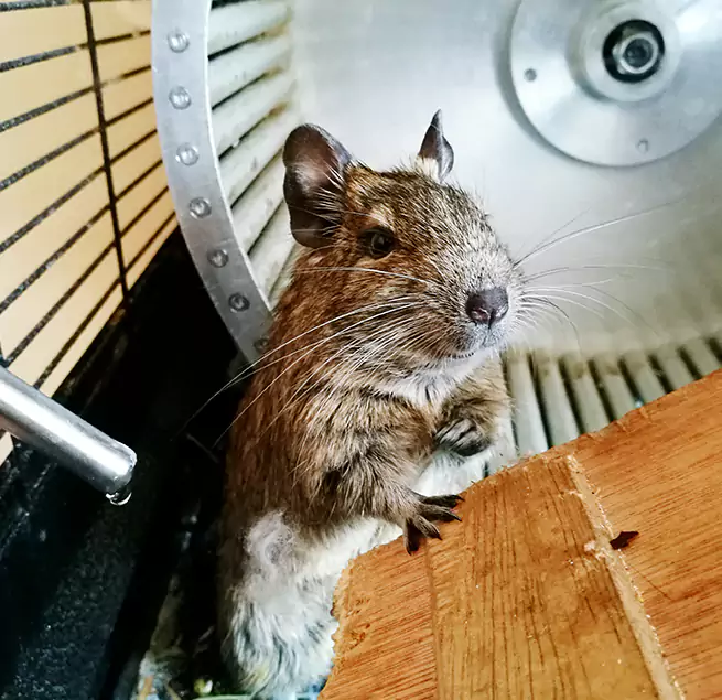 Why Homeowners & Businesses Trust Us Santa Barbara, CA