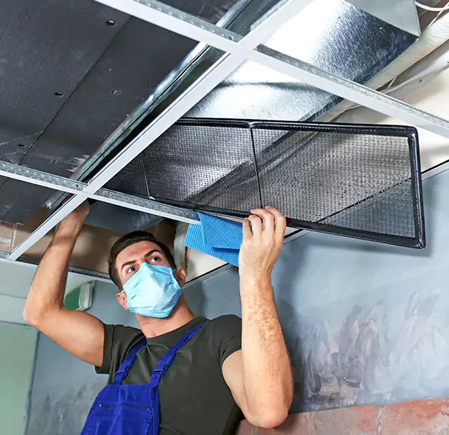 Why Homeowners & Businesses Trust Us in Santa Barbara, CA?